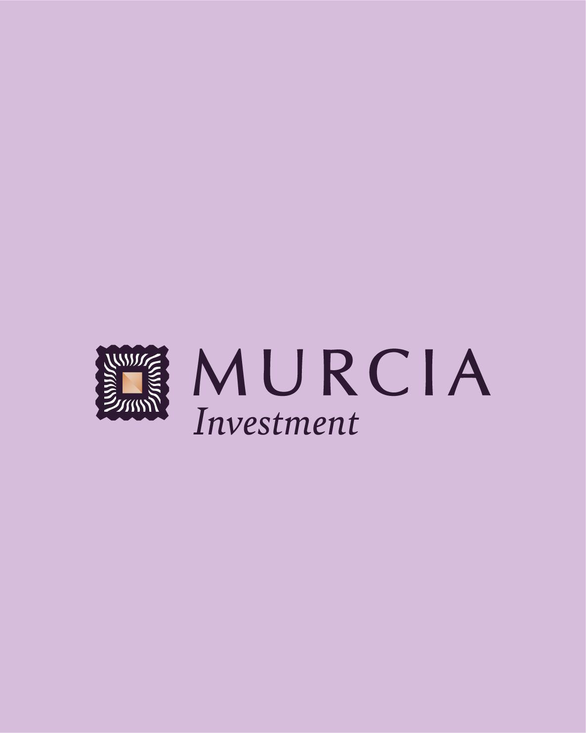 Asset 35مرسية للإستثمار - Murcia Investment