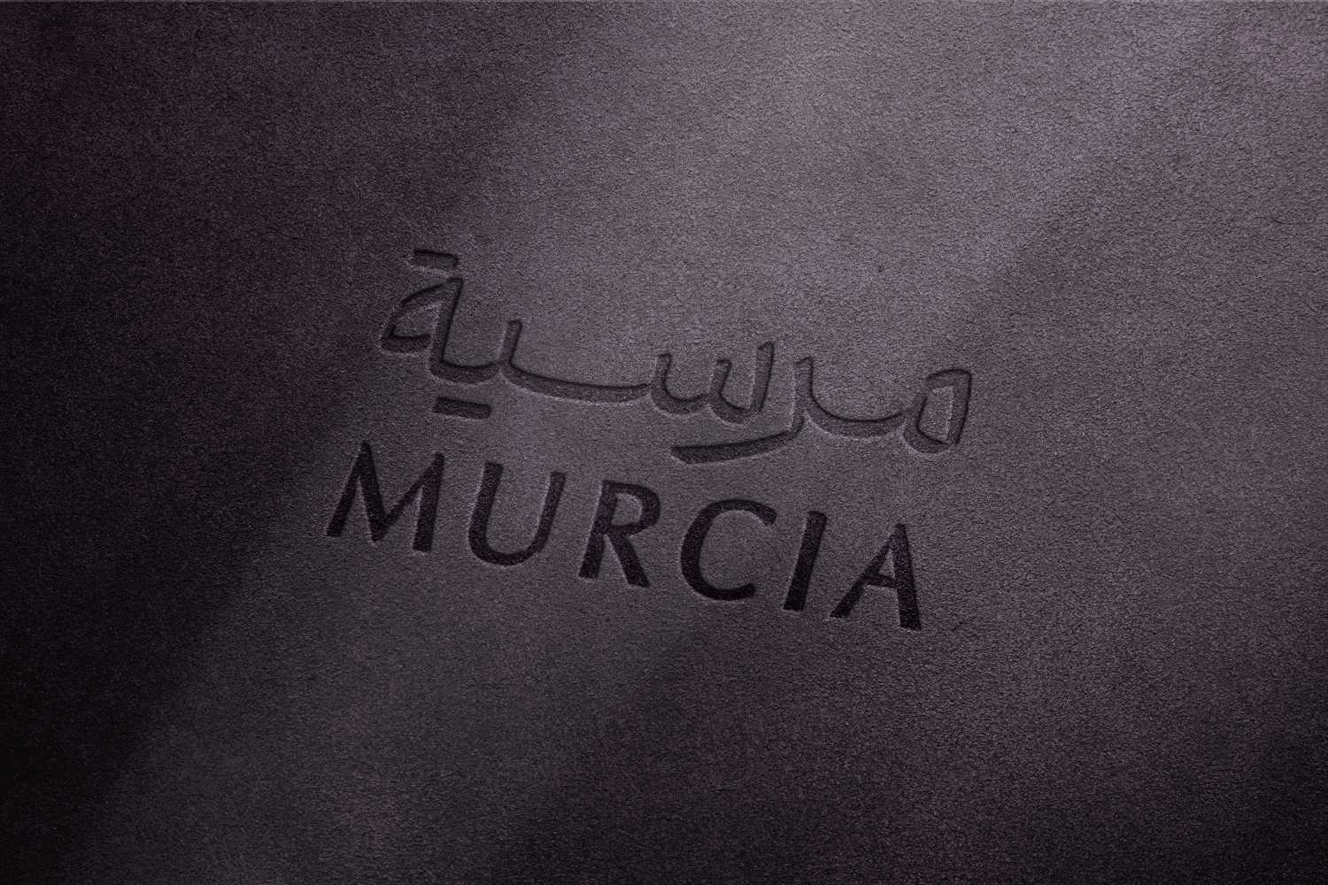مرسية للإستثمار - Murcia Investment
